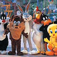 Six Flags Magic Mountain Anaheim California Attractions